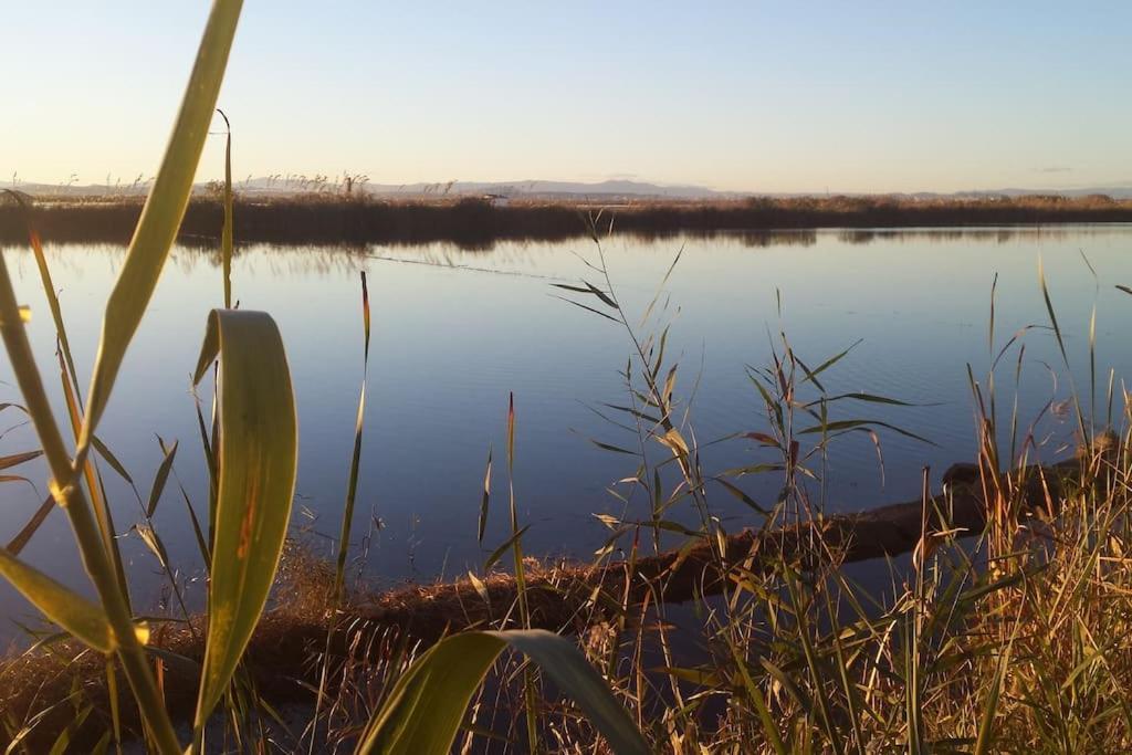 Beachfront House, Valencia, Wifi, Paddle Surf Board, Incredible Views Sueca Eksteriør billede
